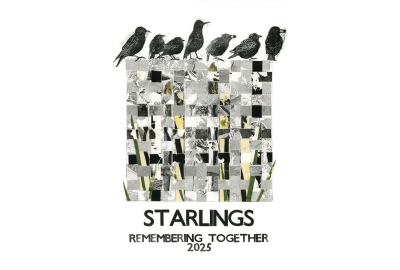 MB STARLINGS Landscape 400x270.jpg